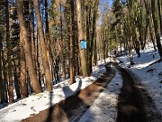 Anello con neve Zuc de Valmana, Canti, Tre Faggi da Fuipiano-5APR22- FOTOGALLERY